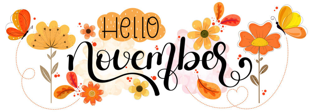 hello november