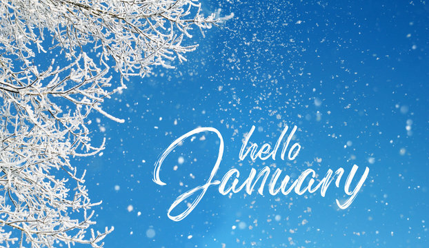 hello january