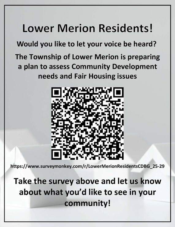 Community Dev Survey