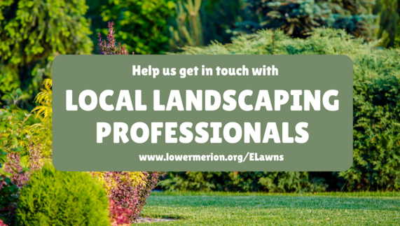 landscaping professionals