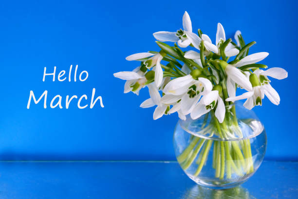 Hello March
