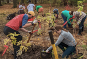 Friends of FDR Park