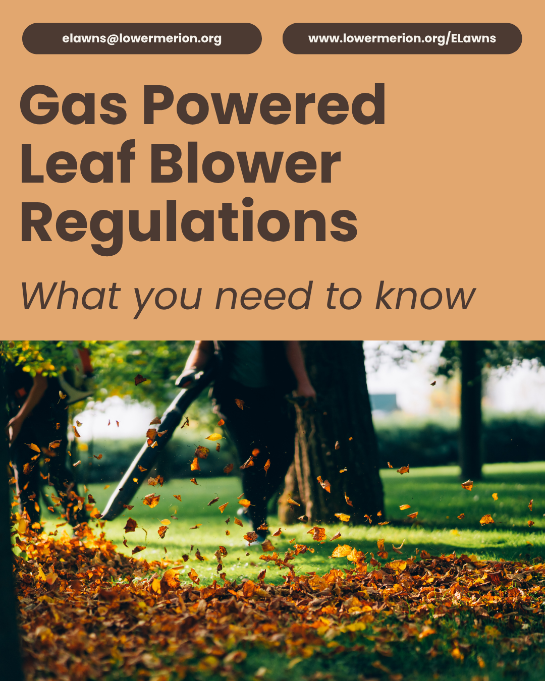 Gas Powered Leaf Blower Regulations