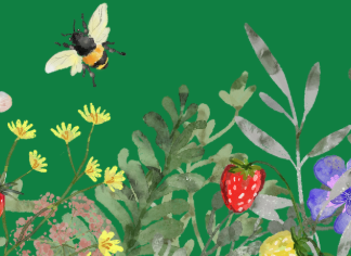 Monarch Fair