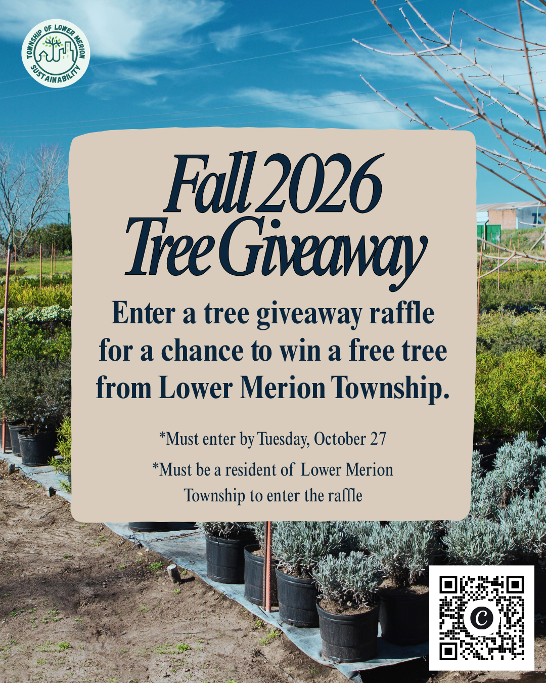 Tree Giveaway