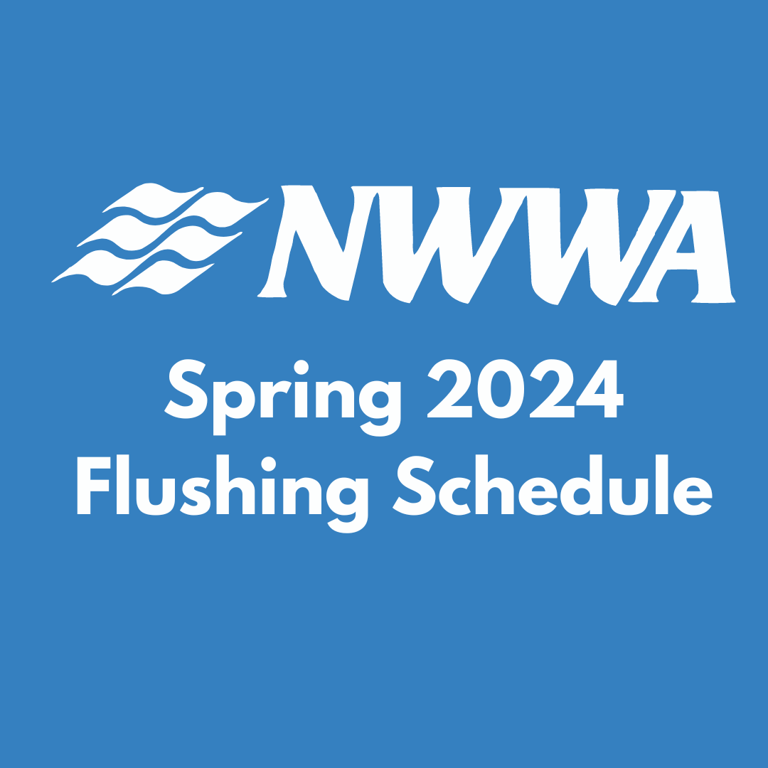 North Wales Flushing Schedule Flyer 
