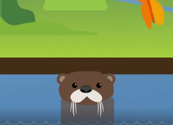 Otter Is Back