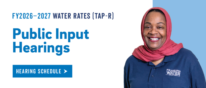 Public Hearing Input