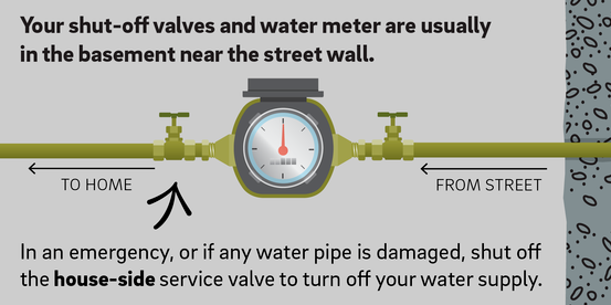 Your shut-off valves and water meter are usually in the basement near the street wall.