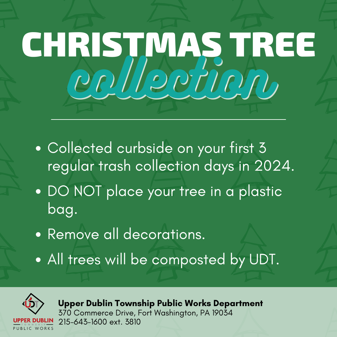Christmas Tree Collections Begin This Week