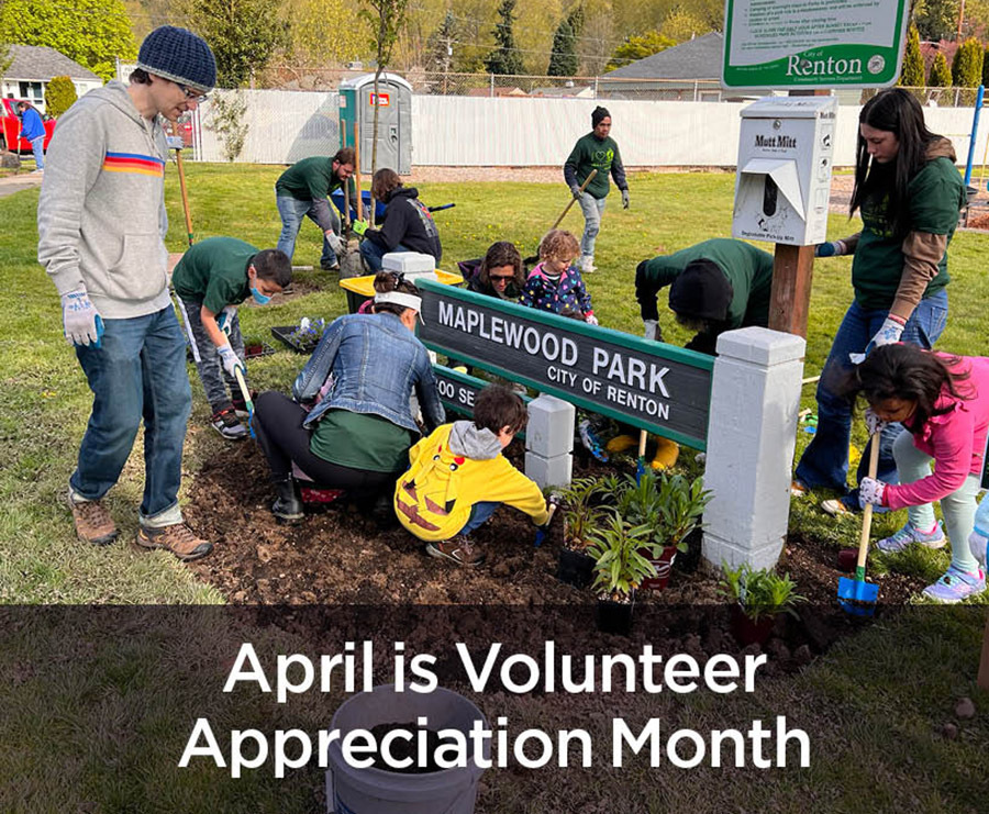 National Volunteer Appreciation Month