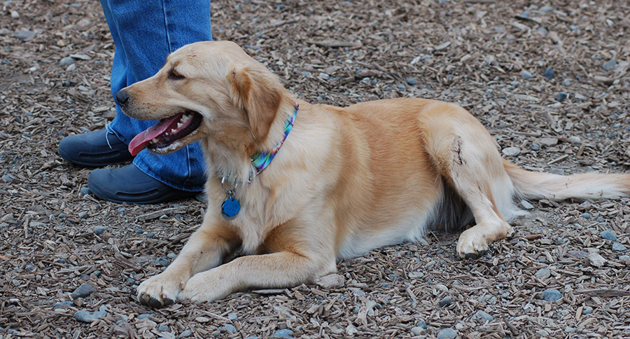 Park reminders and new programs