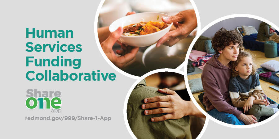 King County Human Services Funding information session