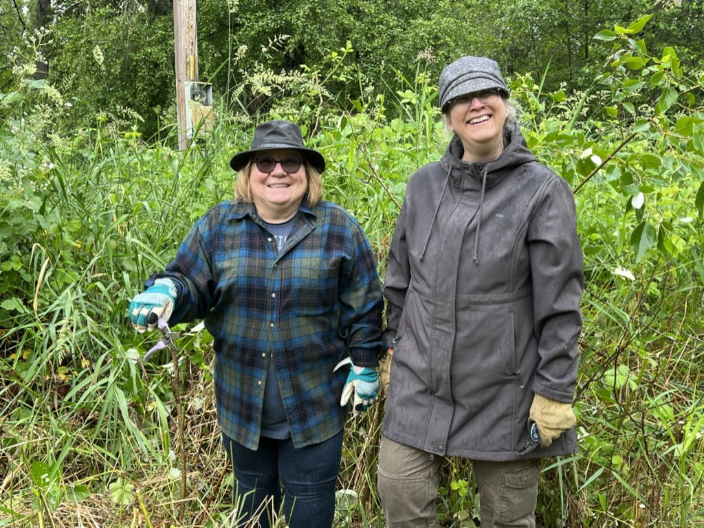 Cemetery Pond restoration project
