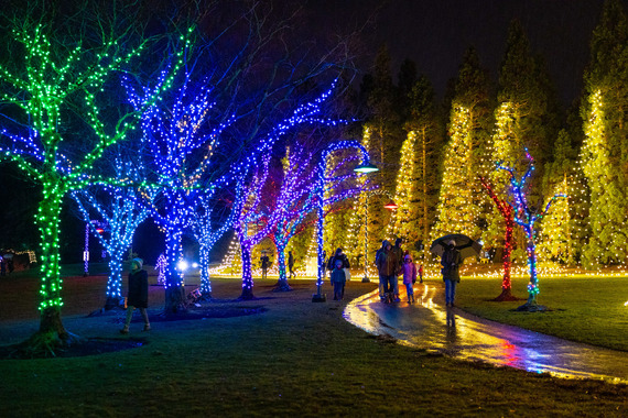 Winter Lights 2023 Survey