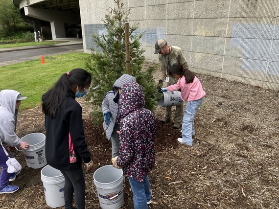 STREAM Team and Urban Forestry Division