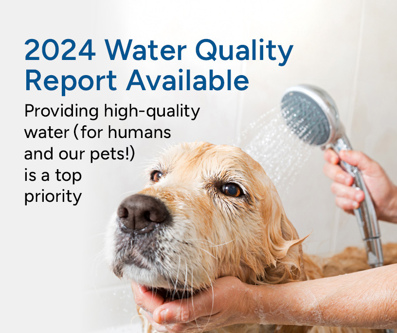 Water Quality Report 2024