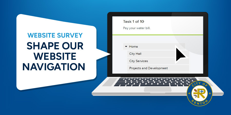 Graphic with a laptop on a website. Text displaying "WEBSITE SURVEY SHAPE OUR WEBSITE NAVIGATION"