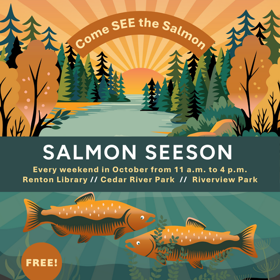 Salmon Seeson October 2024 graphic