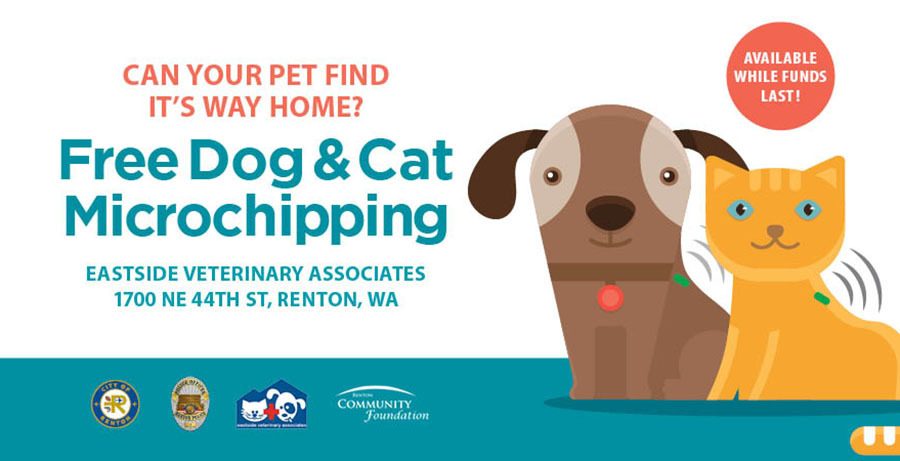 free dog and cat microchipping graphic with a dog and cat on the side