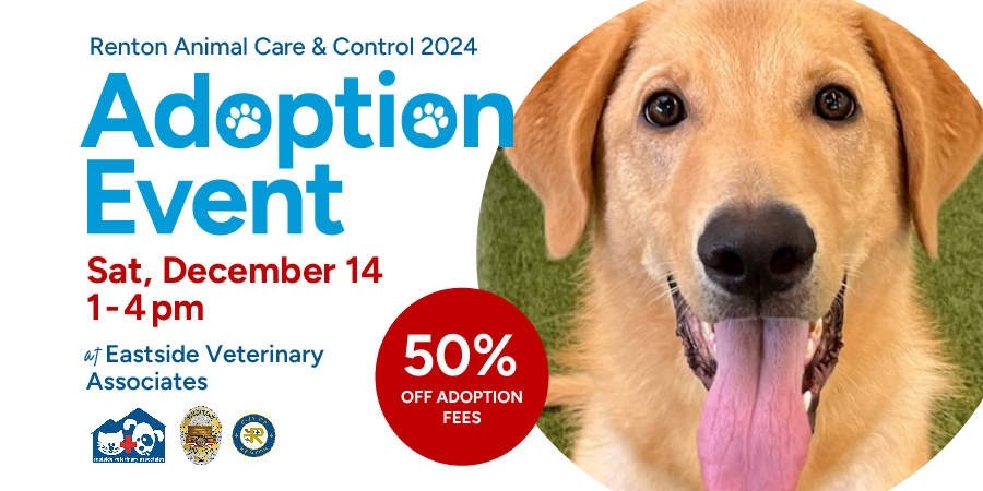Pet Adoption Event on Saturday, December 14 from 1-4 pm at Eastside Veterinary Associates