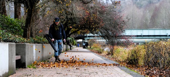 Blowing leaves on the Cedar River Trail - wide