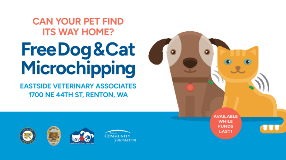 Can Your Pet Find Its Way Home