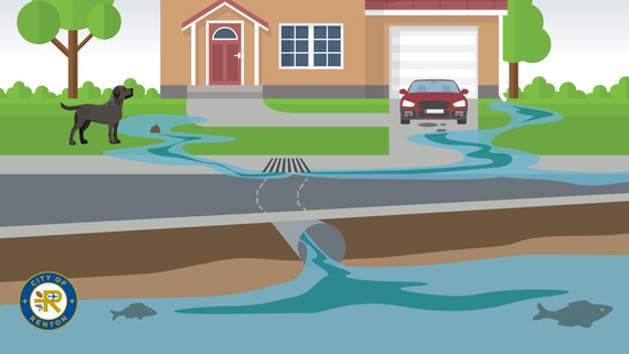 Graphic showcasing stormwater runoff outside a home going into the stormwater system