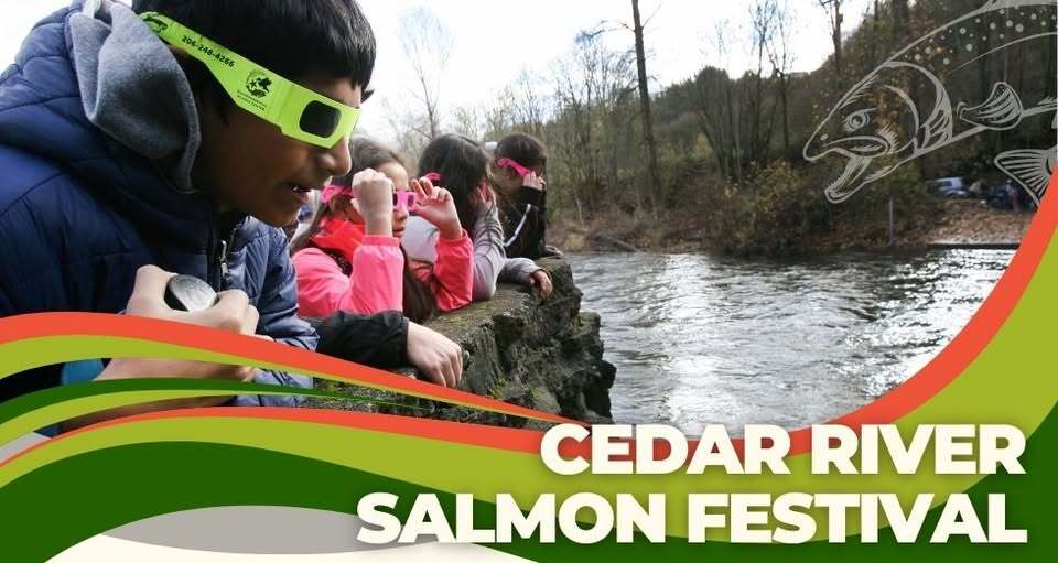 Cedar River Salmon Festival graphic by Environmental Science Center