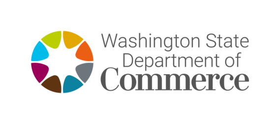 WSDC access to capital