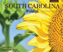 SCW magazine cover of sunflower