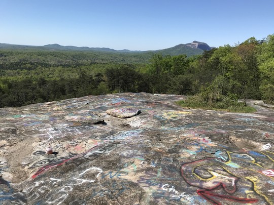 Bald Rock Heritage Preserve in the spring