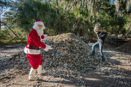 santa elf shell pile