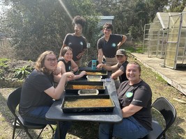 SI Americorps photo planting seedlings