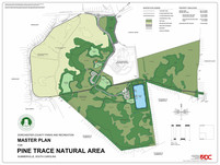 Pine Trace Master Plan