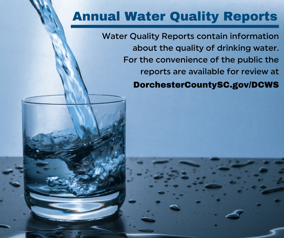 Water Quality Report