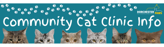 Community Cat Clinic