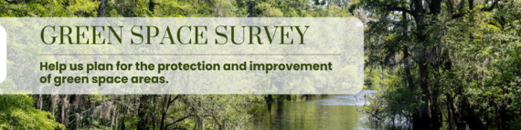 Green Space Survey