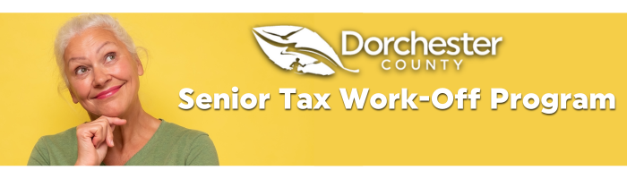 Senior Tax Program