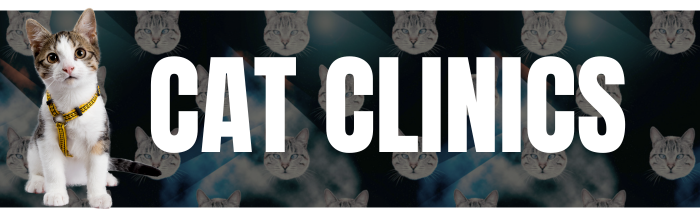 cat clinics