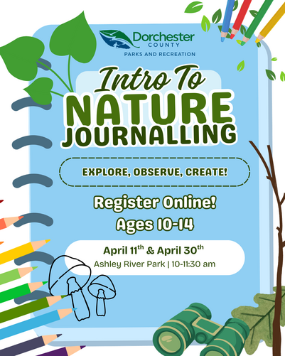 intro to journaling