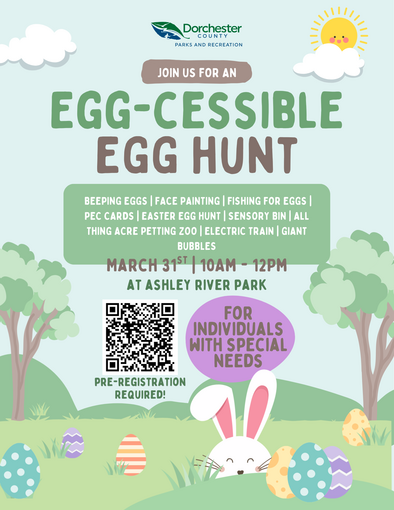 Eggcessible
