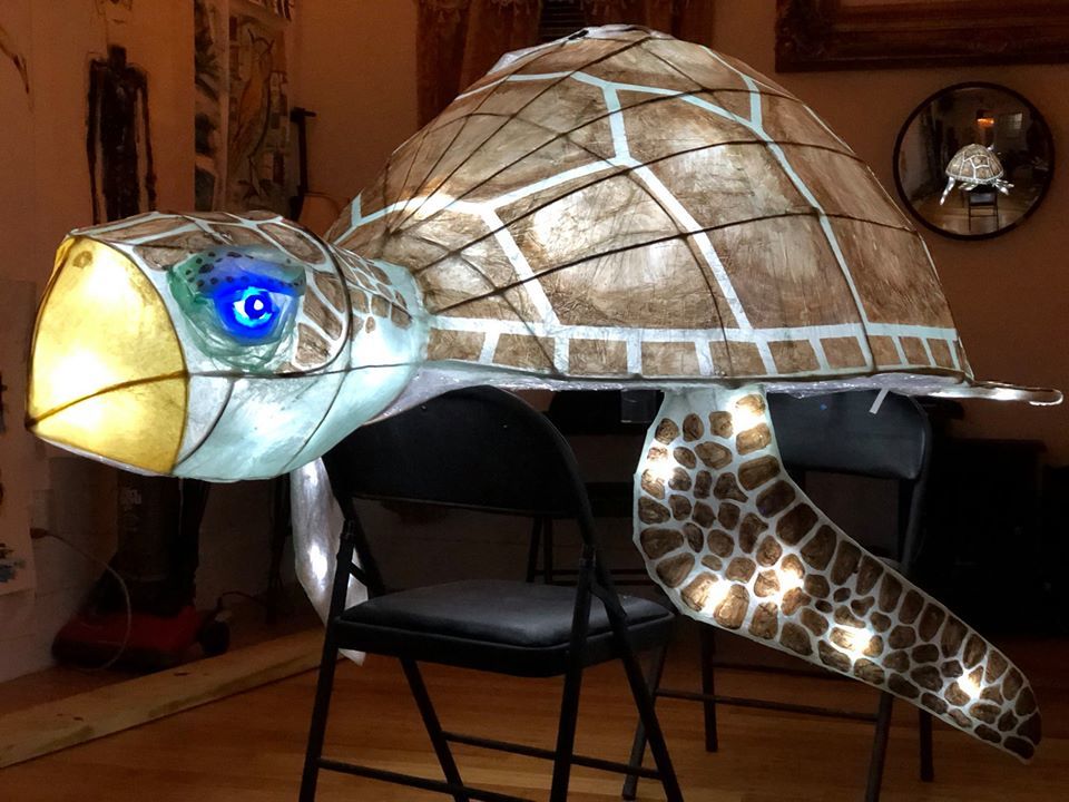 mama loggerhead with @