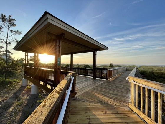 Image shows the completed pavilion