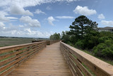 New boardwalk with Board Creek views.