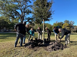 Planting a Tree