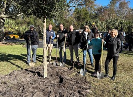 Planting a Tree