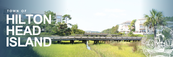 Header of Bridge for Town News