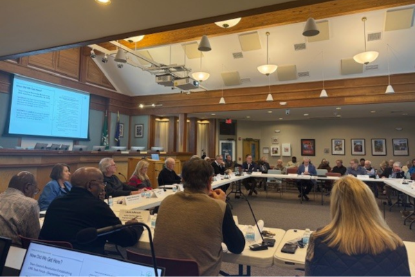 Land management ordinance  