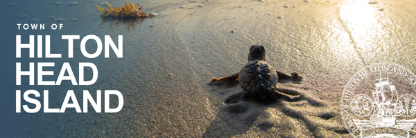 Turtle Heading